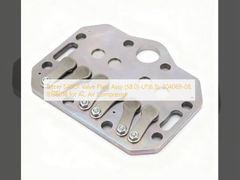 Piastra valvole Bitzer S4BCF Assy (58.0)-LP(6.5), 304069-08, 818601B per compressore aria condizionata