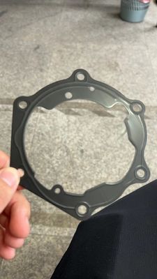 Guarnizione automobilistica della porta del ODM dell'OEM per il certificato di iso di BYD E5