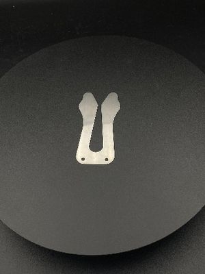 L'OEM ha personalizzato il piatto fabbricante della valvola del prodotto di acciaio inossidabile