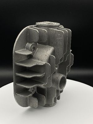 Testata di cilindro non standard su ordinazione del motore di norma della forma metallica del silicone