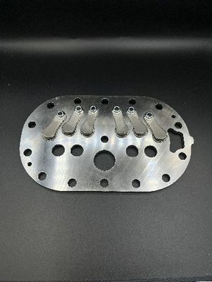 Qualità originale della piastra di valvola di Gulun