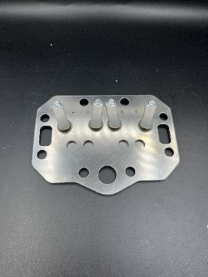 Personalizzabile in base ai campioni Compressore Placca della valvola