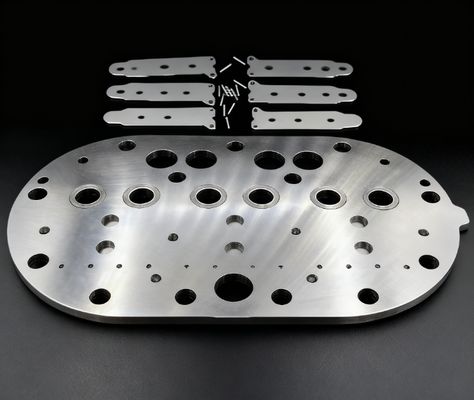 15P Copeland Compressore di raffreddamento Valve Plate Assembly & Valve Reeds per frigorifero