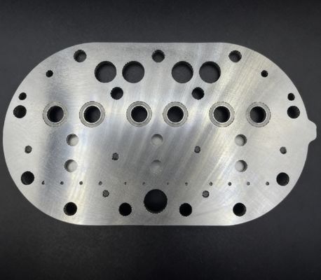 15P Copeland Compressore di raffreddamento Valve Plate Assembly & Valve Reeds per frigorifero