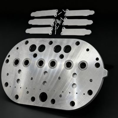 15P Copeland Compressore di raffreddamento Valve Plate Assembly & Valve Reeds per frigorifero