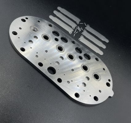 15P Copeland Compressore di raffreddamento Valve Plate Assembly & Valve Reeds per frigorifero