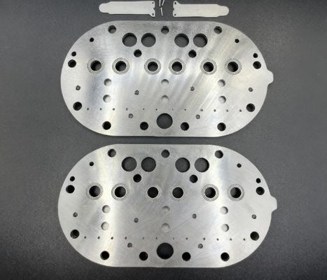 15P Copeland Compressore di raffreddamento Valve Plate Assembly & Valve Reeds per frigorifero
